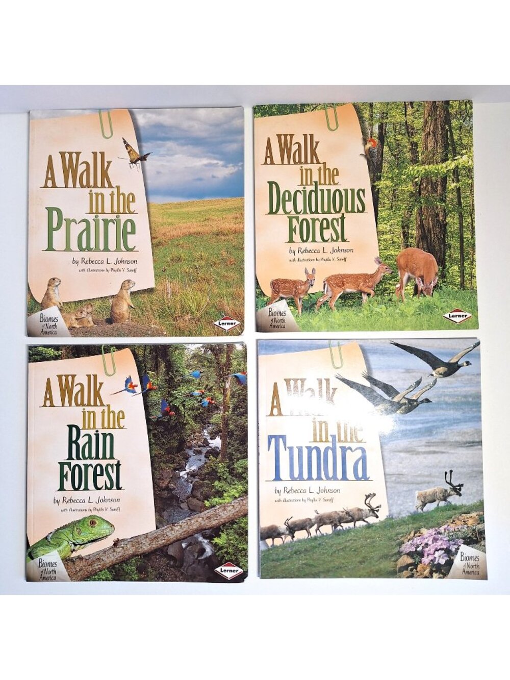 Biomes North America Walk In The Prairie Deciduous Forest Rain Forest Tundra Lot